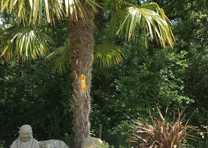 La Forestiere Monclar-de-Quercy